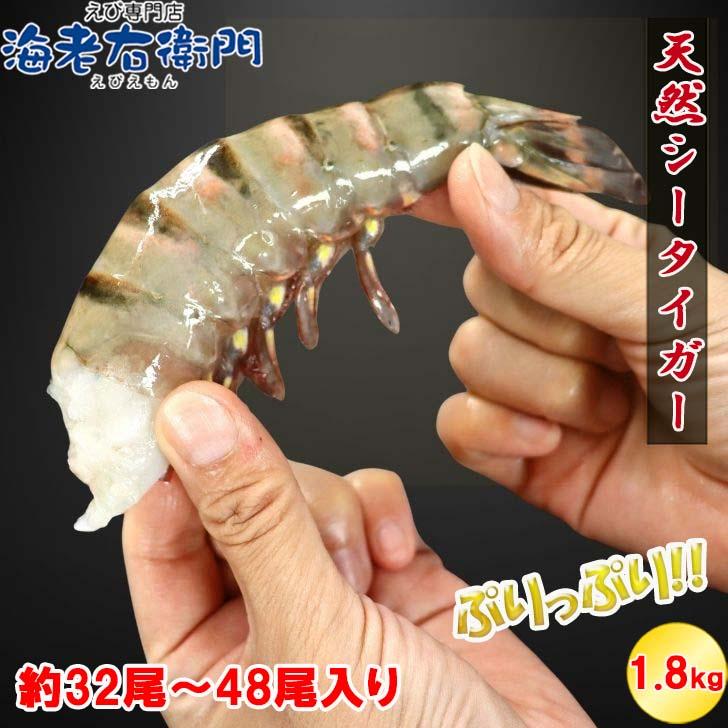 超特大 8/12サイズ 約32尾〜48尾入り 天然 シータイガー 無頭えび 900g×2で1.8kg 特大 エビ 大エビ 冷凍  海老フライ 天ぷら 海鮮 焼き bbq食材  業務用 |  | 09