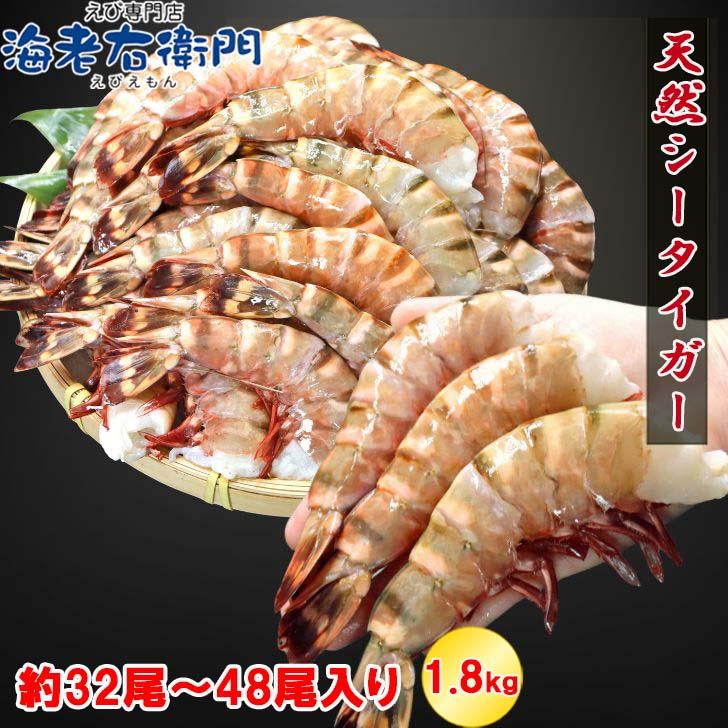超特大 無頭シータイガー 8/12サイズ 約32〜48尾入り 天然えび 1.8kg 冷凍 海老 海鮮 BBQにも最適 特大 エビ 海老フライ 天ぷら 海鮮 焼き bbq食材  業務用 | 