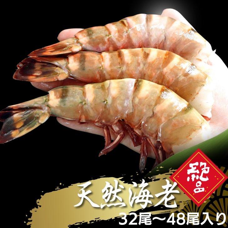 超特大 無頭シータイガー 8/12サイズ 約32〜48尾入り 天然えび 1.8kg 冷凍 海老 海鮮 BBQにも最適 特大 エビ 海老フライ 天ぷら 海鮮 焼き bbq食材  業務用 |  | 11