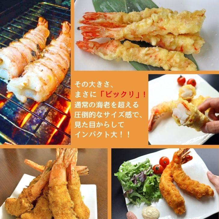 超特大 無頭シータイガー 8/12サイズ 約32〜48尾入り 天然えび 1.8kg 冷凍 海老 海鮮 BBQにも最適 特大 エビ 海老フライ 天ぷら 海鮮 焼き bbq食材  業務用 |  | 12