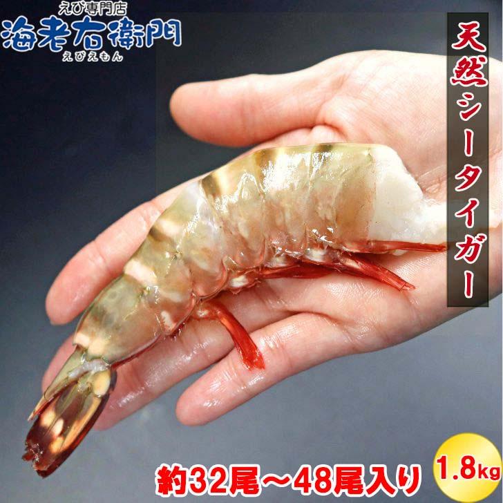 超特大 無頭シータイガー 8/12サイズ 約32〜48尾入り 天然えび 1.8kg 冷凍 海老 海鮮 BBQにも最適 特大 エビ 海老フライ 天ぷら 海鮮 焼き bbq食材  業務用 |  | 06
