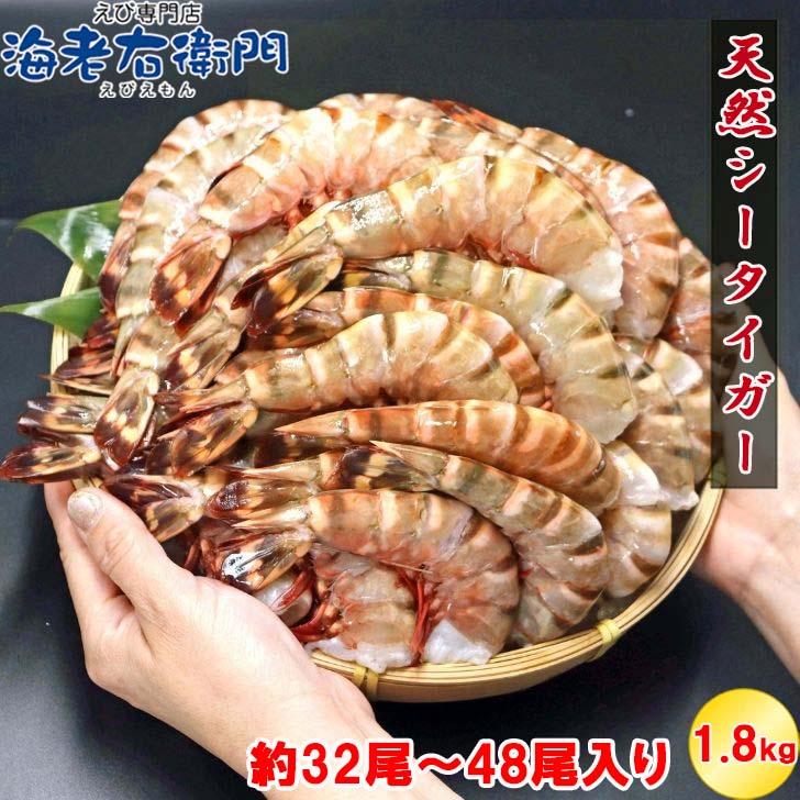 超特大 無頭シータイガー 8/12サイズ 約32〜48尾入り 天然えび 1.8kg 冷凍 海老 海鮮 BBQにも最適 特大 エビ 海老フライ 天ぷら 海鮮 焼き bbq食材  業務用 |  | 02