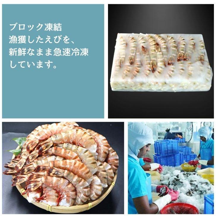 超特大 無頭シータイガー 8/12サイズ 約32〜48尾入り 天然えび 1.8kg 冷凍 海老 海鮮 BBQにも最適 特大 エビ 海老フライ 天ぷら 海鮮 焼き bbq食材  業務用 |  | 14