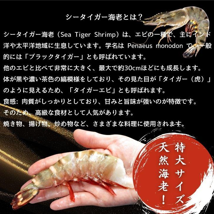 超特大 無頭シータイガー 8/12サイズ 約32〜48尾入り 天然えび 1.8kg 冷凍 海老 海鮮 BBQにも最適 特大 エビ 海老フライ 天ぷら 海鮮 焼き bbq食材  業務用 |  | 04