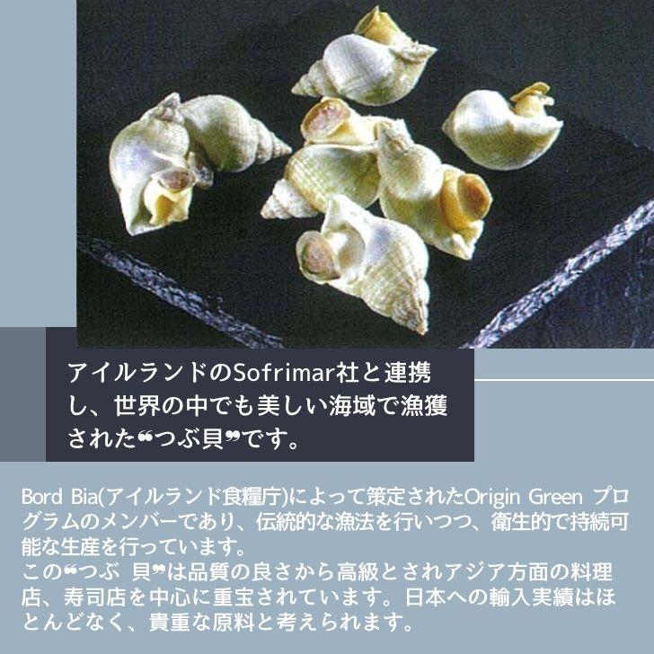 生つぶ貝 むき身 大粒 1kg 1個約20ｇアップ (アイルランド産) つぶがい ツブ貝 ツブガイ 貝 お刺身 海鮮 魚介 バター焼き アヒージョに！  業務用 |  | 04