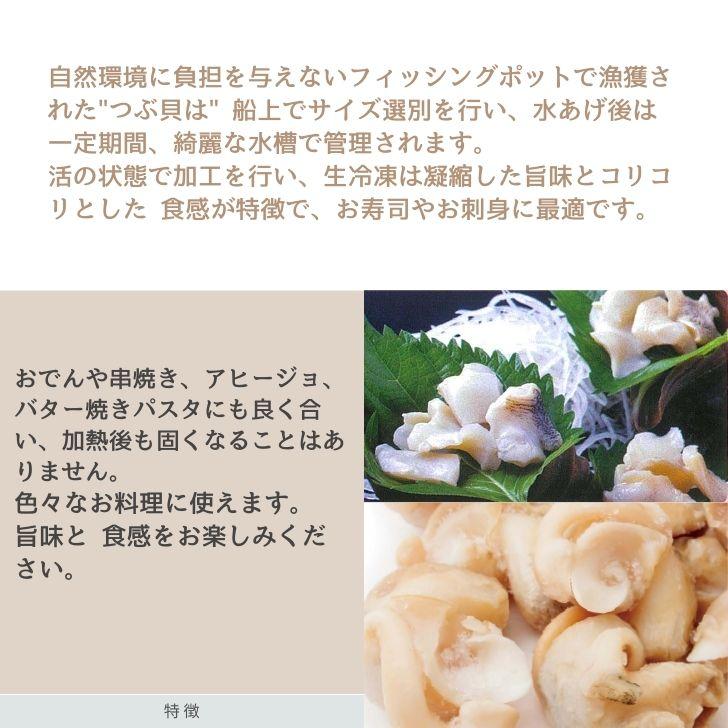 生つぶ貝 むき身 大粒 1kg 1個約20ｇアップ (アイルランド産) つぶがい ツブ貝 ツブガイ 貝 お刺身 海鮮 魚介 バター焼き アヒージョに！  業務用 |  | 05