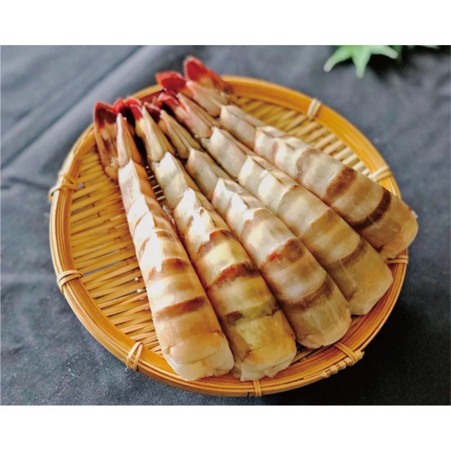 シータイガー ジャンボエビフライ レシピ付 超特大 エビ ジャンボエビフライ えび 海老 大きい 冷凍 シータイガー Seatiger 海老の丸寛 通販 Yahoo ショッピング