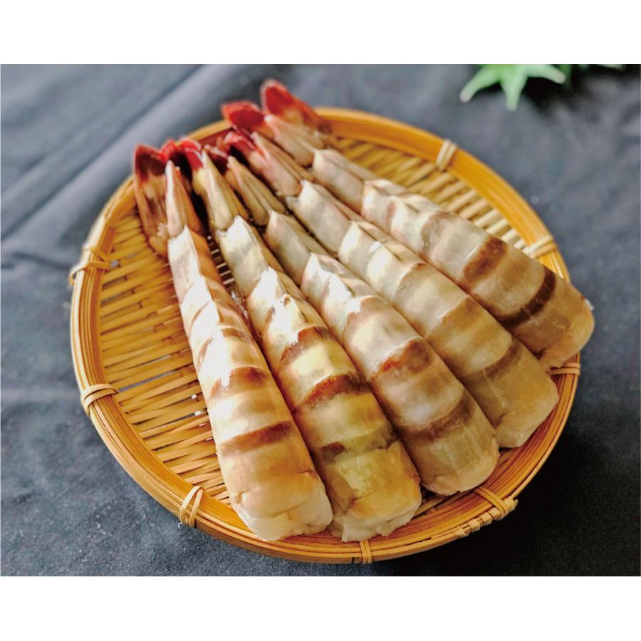 [超特大えび]高くておいしい海老シータイガー1.8kg12~16尾［天然／冷凍ブロック］業務用・ギフト |  | 01