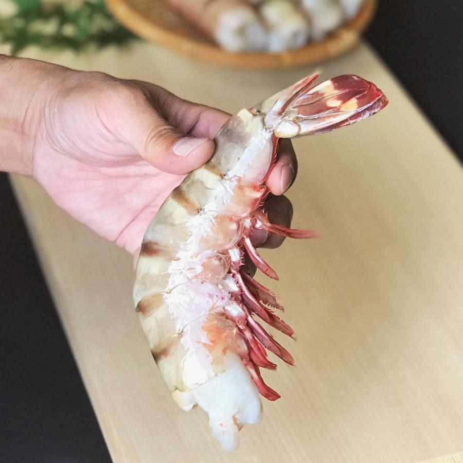 [超特大えび]高くておいしい海老シータイガー1.8kg12~16尾［天然／冷凍ブロック］業務用・ギフト |  | 02