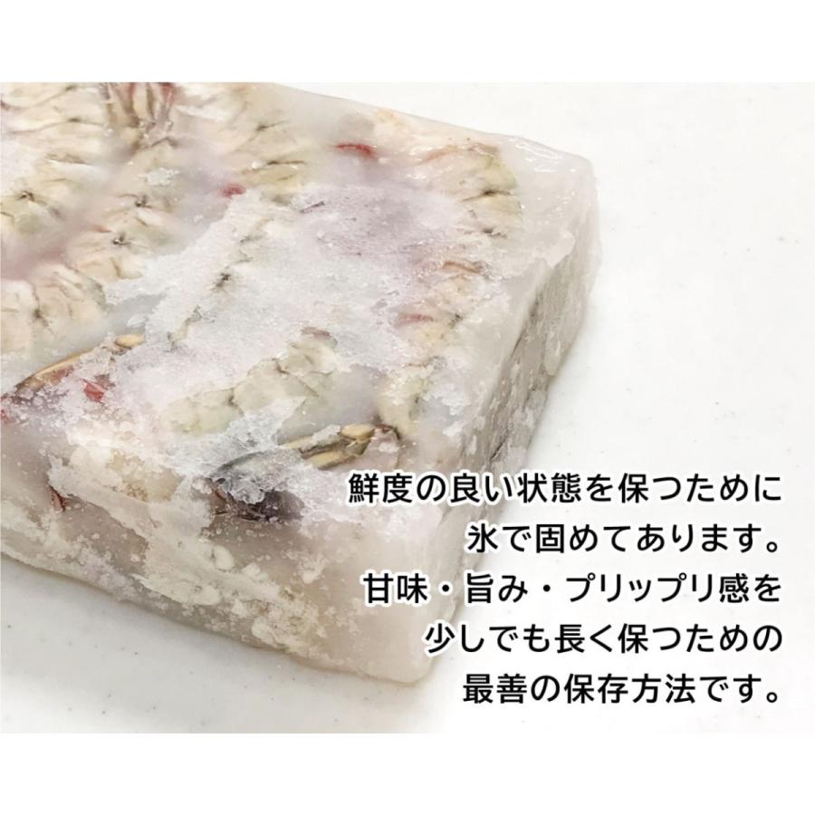 シータイガー ジャンボエビフライ レシピ付 超特大 エビ ジャンボエビフライ えび 海老 大きい 冷凍 シータイガー Seatiger 海老の丸寛 通販 Yahoo ショッピング