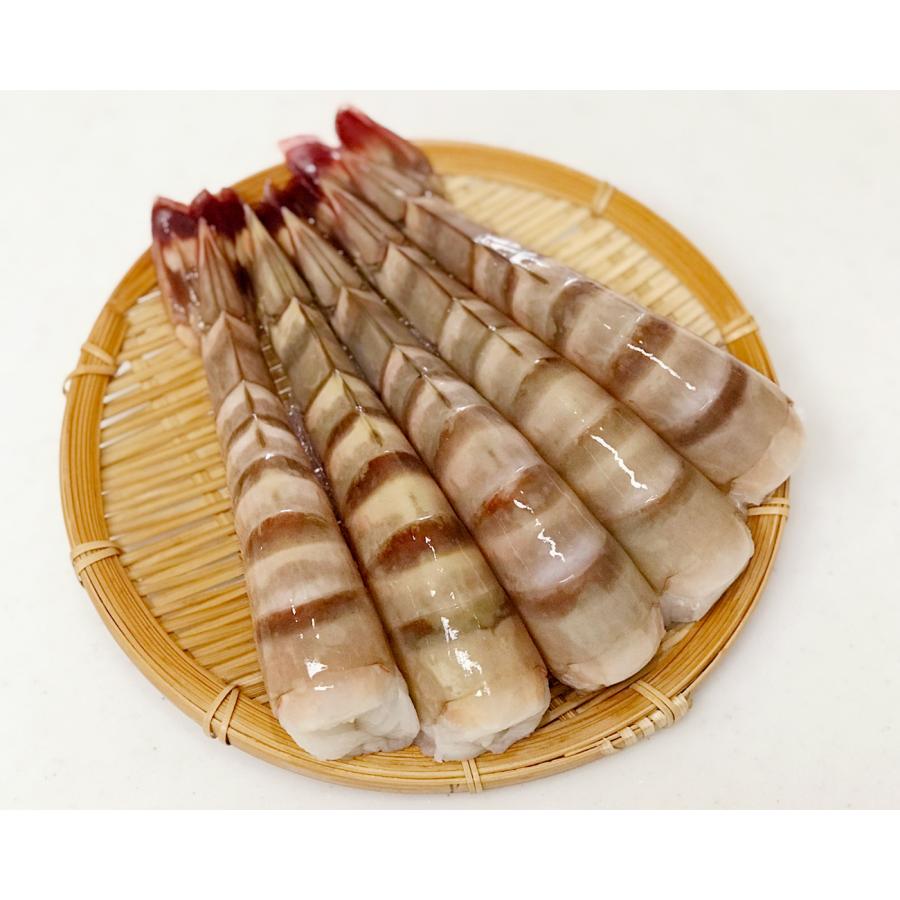 [超特大えび]高くておいしい海老シータイガー1.8kg12~16尾［天然／冷凍ブロック］業務用・ギフト |  | 08