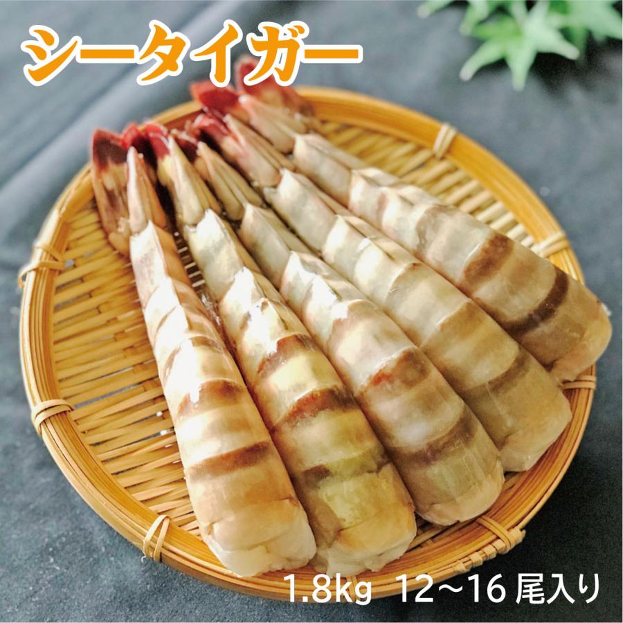 [超特大えび]高くておいしい海老シータイガー1.8kg12~16尾［天然／冷凍ブロック］業務用・ギフト |  | 09