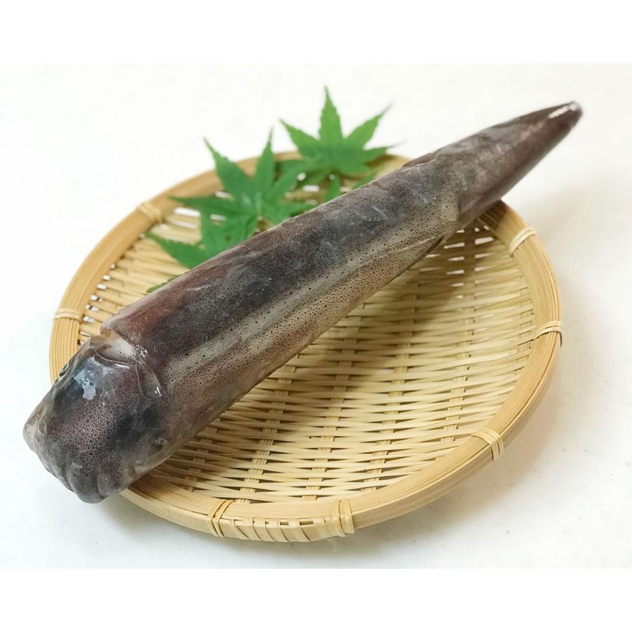 おいしいスルメイカ1杯300~330g/石川県産船内一尾凍結いか｜能登小木港するめ・真いか冷凍 |  | 01