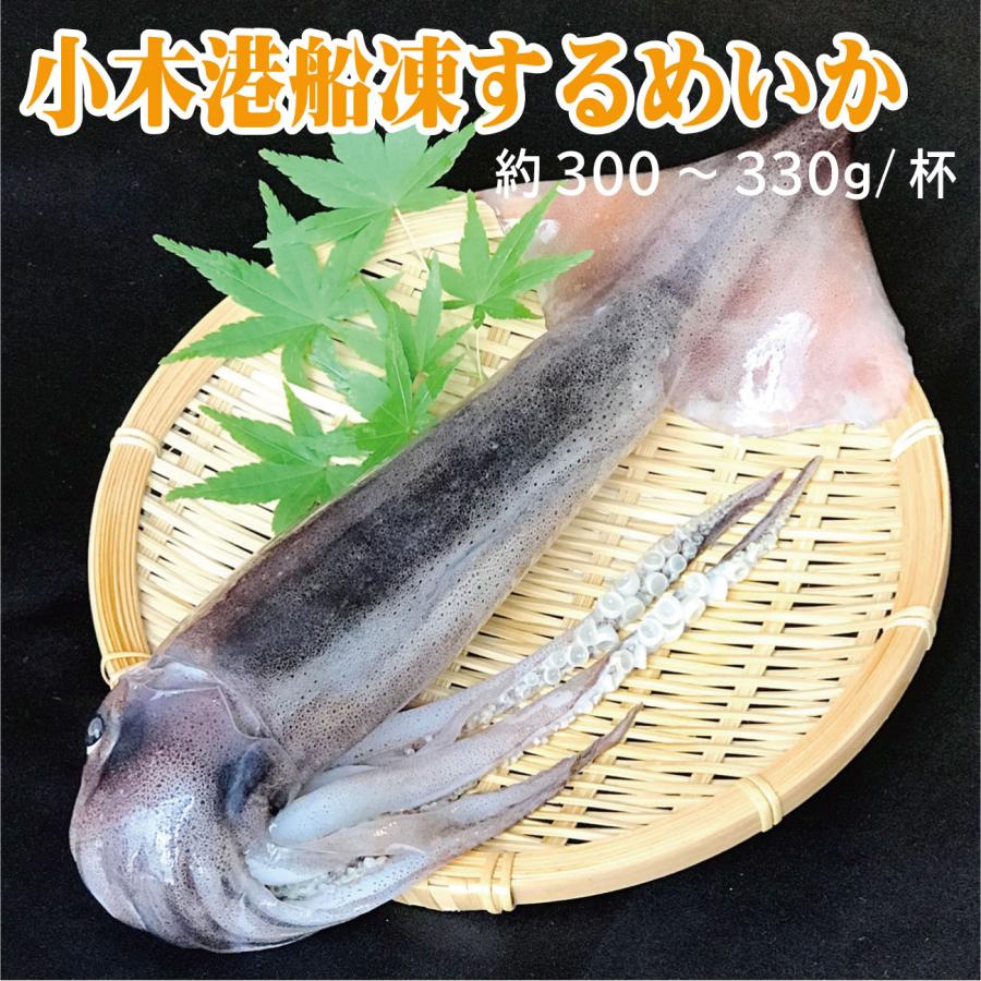 おいしいスルメイカ1杯300~330g/石川県産船内一尾凍結いか｜能登小木港するめ・真いか冷凍 |  | 05