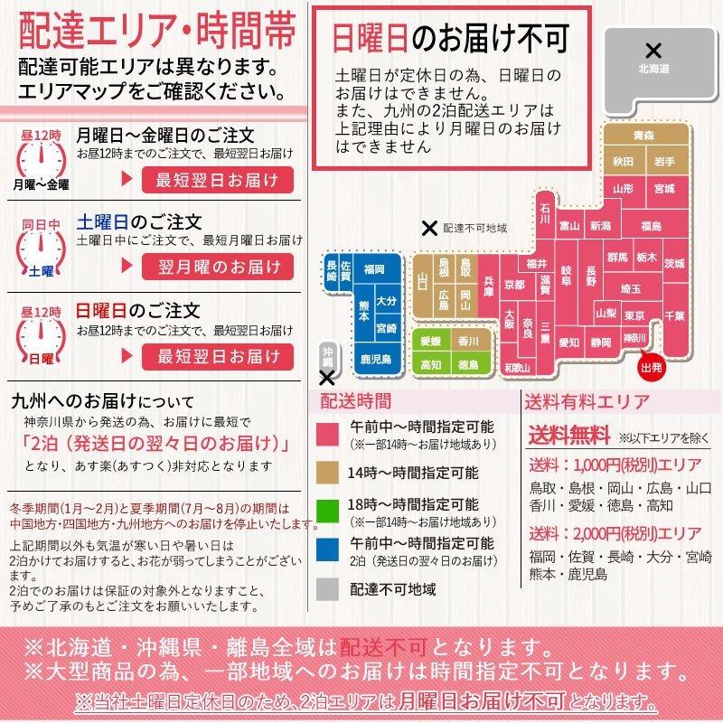 ポイント10倍】9/30まで!胡蝶蘭 お祝い 3本立ち (24〜30輪)10,000円 (税別)お祝い 花 胡蝶蘭 開店 開院 開業 移転 お供え 敬老の日【ko】【ya】 :10000000:胡蝶蘭専門 海老名洋蘭園 Yahoo!店 - 通販 - Yahoo!ショッピング ポイント10倍】9/30まで!胡蝶蘭 お祝い 3本立ち (24〜30輪)10,000円 (税別)お祝い 花 胡蝶蘭 開店 開院 開業 移転 お供え 敬老の日【ko】【ya】 :10000000:胡蝶蘭専門 海老名洋蘭園 Yahoo!店 - 通販 - Yahoo!ショッピング