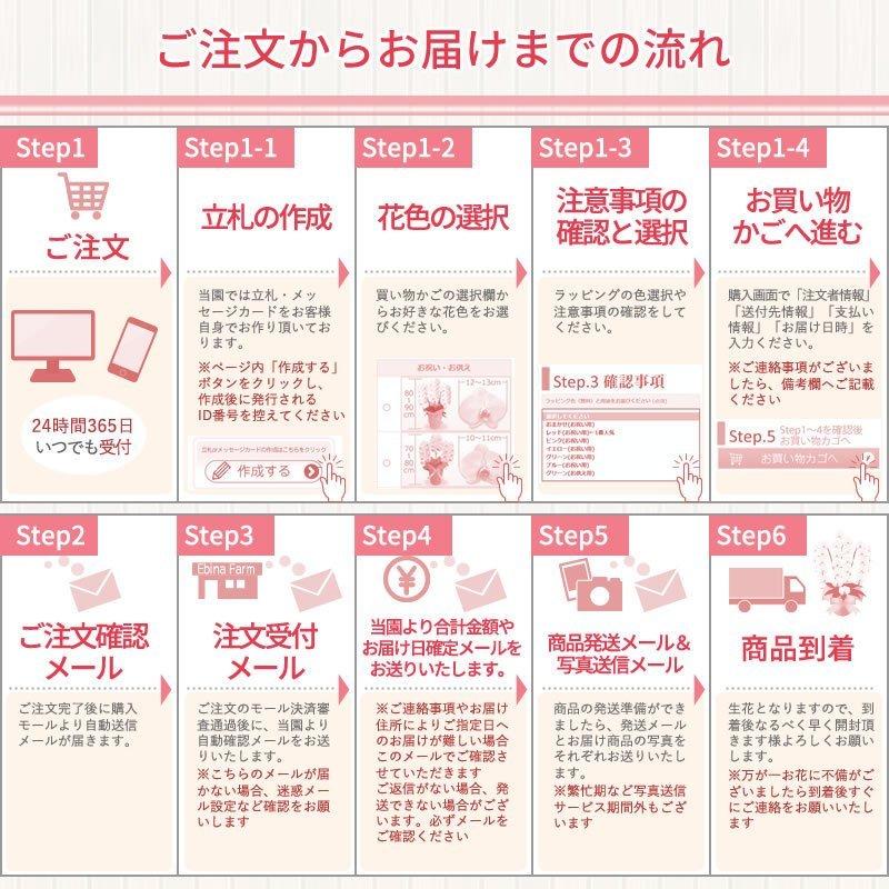 ポイント10倍】9/30まで!胡蝶蘭 お祝い 3本立ち (24〜30輪)10,000円 (税別)お祝い 花 胡蝶蘭 開店 開院 開業 移転 お供え 敬老の日【ko】【ya】 :10000000:胡蝶蘭専門 海老名洋蘭園 Yahoo!店 - 通販 - Yahoo!ショッピング ポイント10倍】9/30まで!胡蝶蘭 お祝い 3本立ち (24〜30輪)10,000円 (税別)お祝い 花 胡蝶蘭 開店 開院 開業 移転 お供え 敬老の日【ko】【ya】 :10000000:胡蝶蘭専門 海老名洋蘭園 Yahoo!店 - 通販 - Yahoo!ショッピング