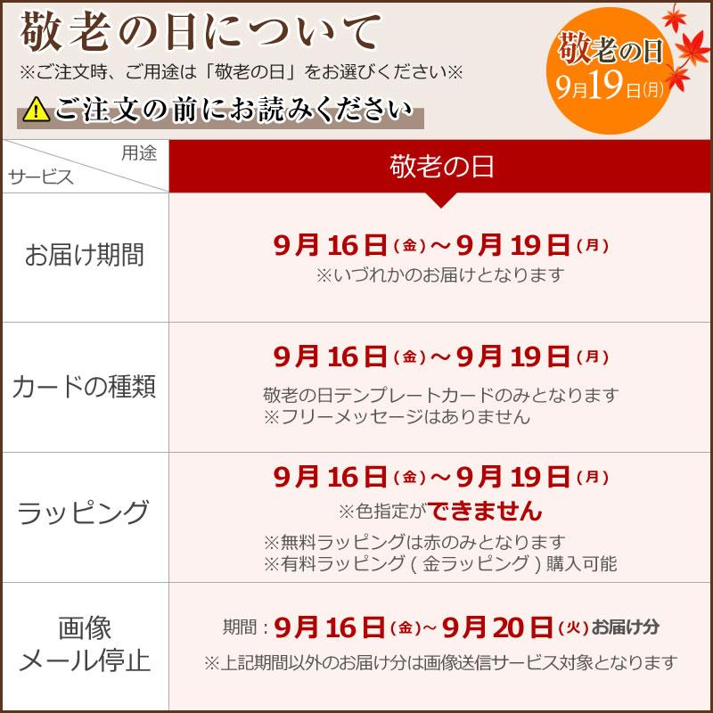 ポイント10倍】9/30まで!胡蝶蘭 お祝い 3本立ち (24〜30輪)10,000円 (税別)お祝い 花 胡蝶蘭 開店 開院 開業 移転 お供え 敬老の日【ko】【ya】 :10000000:胡蝶蘭専門 海老名洋蘭園 Yahoo!店 - 通販 - Yahoo!ショッピング ポイント10倍】9/30まで!胡蝶蘭 お祝い 3本立ち (24〜30輪)10,000円 (税別)お祝い 花 胡蝶蘭 開店 開院 開業 移転 お供え 敬老の日【ko】【ya】 :10000000:胡蝶蘭専門 海老名洋蘭園 Yahoo!店 - 通販 - Yahoo!ショッピング