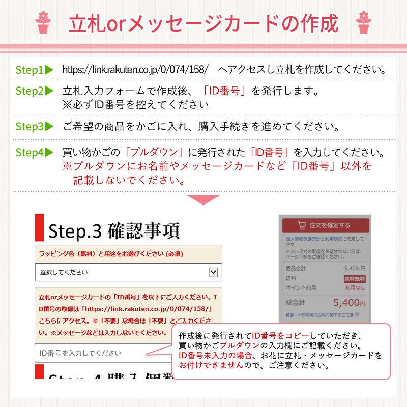 胡蝶蘭 お祝い 3本立ち 大輪 30 33輪 15000円 税別 お祝い 胡蝶蘭 開店 花 還暦 開業 移転 就任 お供え 鉢花 受章 お歳暮 クリスマスプレゼント Ko Ya 10000001 胡蝶蘭専門 海老名洋蘭園 Yahoo 店 通販 Yahoo ショッピング