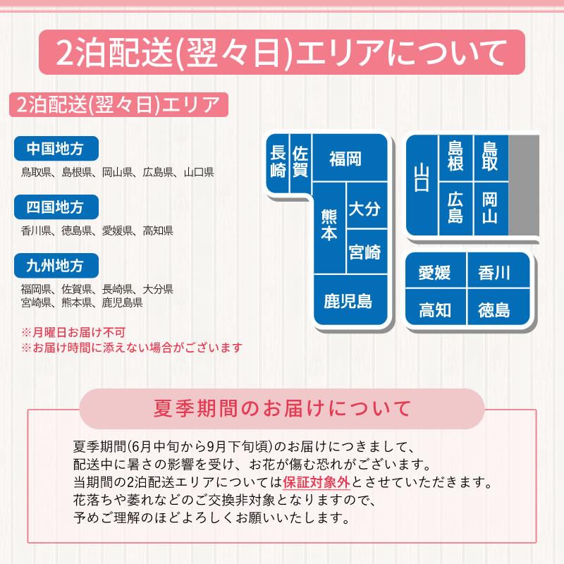 胡蝶蘭 お祝い 3本立ち 大輪(30〜33輪) 15000円(税別)花 胡蝶蘭 開店 開院 開業 移転 お供え 母の日【ko】【ya】 |  | 25