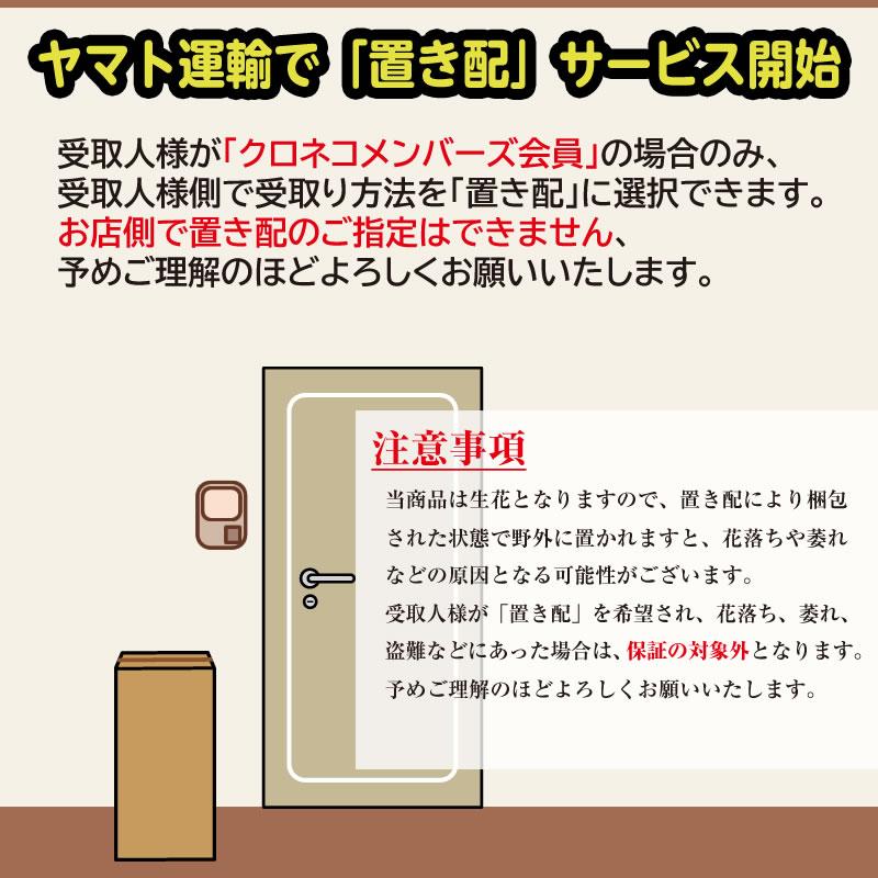 胡蝶蘭 お祝い 3本立ち 大輪(27〜30輪) 13000円(税別)花 胡蝶蘭 開店 開院 開業 移転 お供え 母の日【ko】【ya】の画像