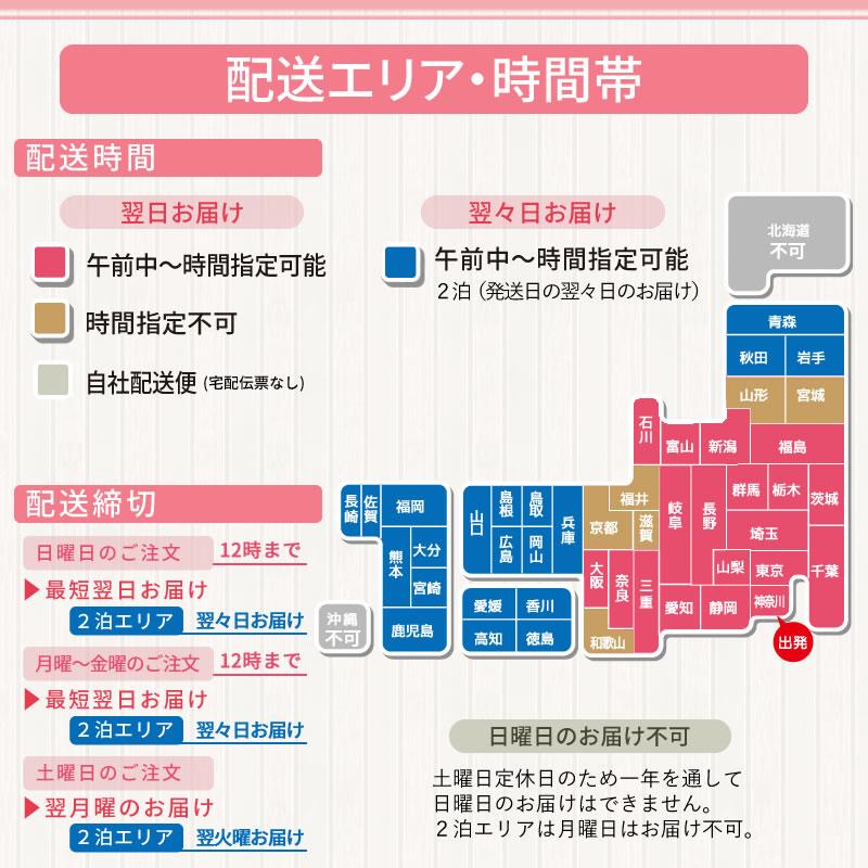 胡蝶蘭大輪2本の苗 4,000円(税別) 大輪(V3)【胡蝶蘭 開花株 成熟株 洋