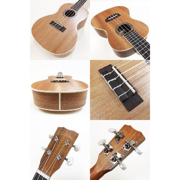 Cordoba コルドバ ウクレレ 15CM コンサート スペシャル12点 セット
