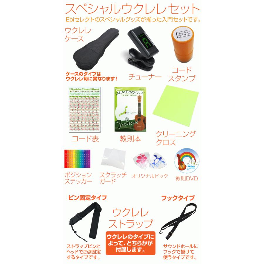 Cordoba コルドバ ウクレレ 15CM コンサート スペシャル12点 セット 