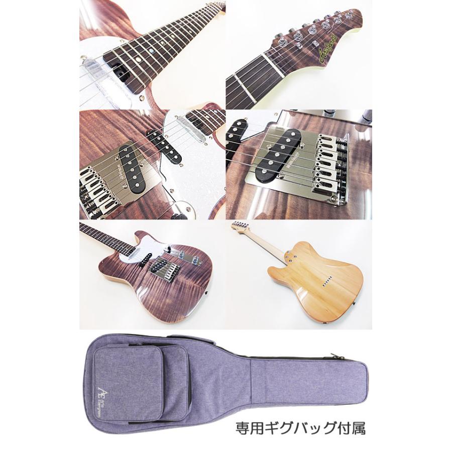 Aria Proll AriaProII 615 AE200 LV アリア・エヴァーグリーン エレキ