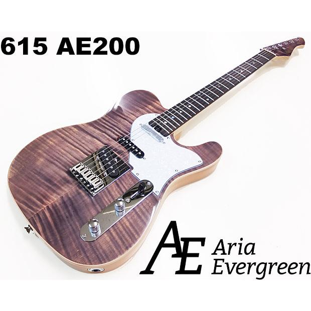 AriaProII 615 AE200 LV アリア・エヴァーグリーン エレキギター初心者 18点セット VOXアンプとZOOM G1XFour付属｜ebisound｜02
