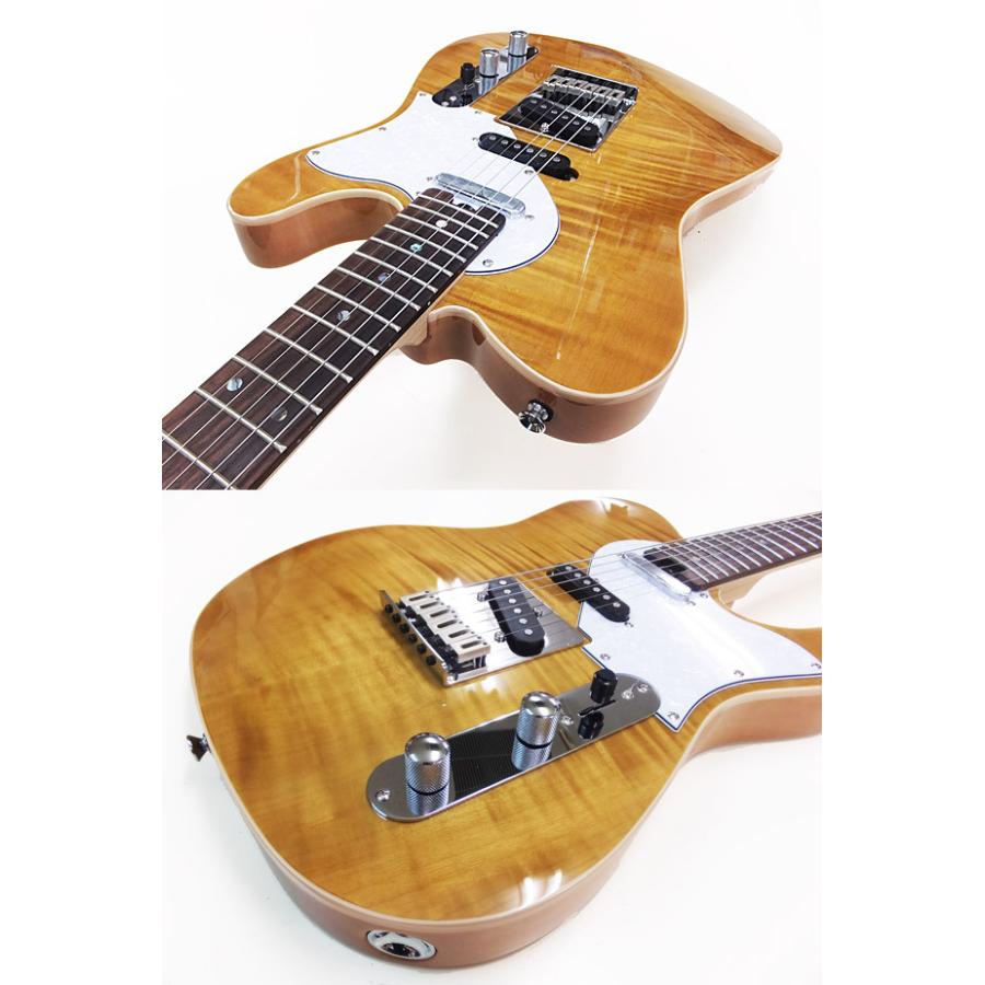 Aria Proll AriaProII 615 AE200 YG アリア・エヴァーグリーン エレキ