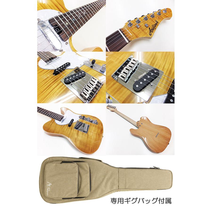 Aria Proll AriaProII 615 AE200 YG アリア・エヴァーグリーン エレキ