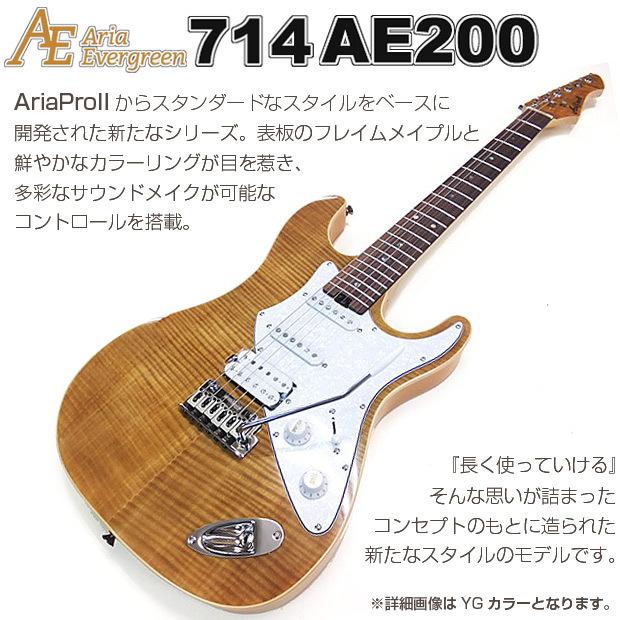 Aria Proll エレキギター 初心者セット 入門セット AriaProII 714