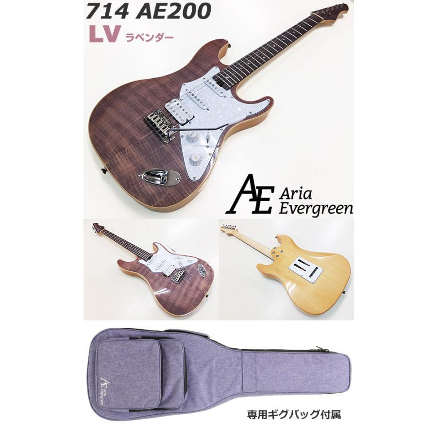 21150円 新しく着き AriaProII 714 AE200 MP アリア エヴァーグリーン エレキギター 初心者 15点 入門セット VOXアンプ付き