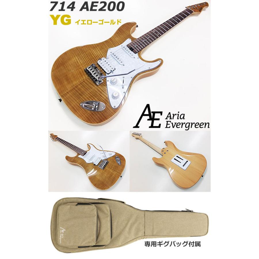 Aria Proll エレキギター 初心者セット 入門セット AriaProII 714