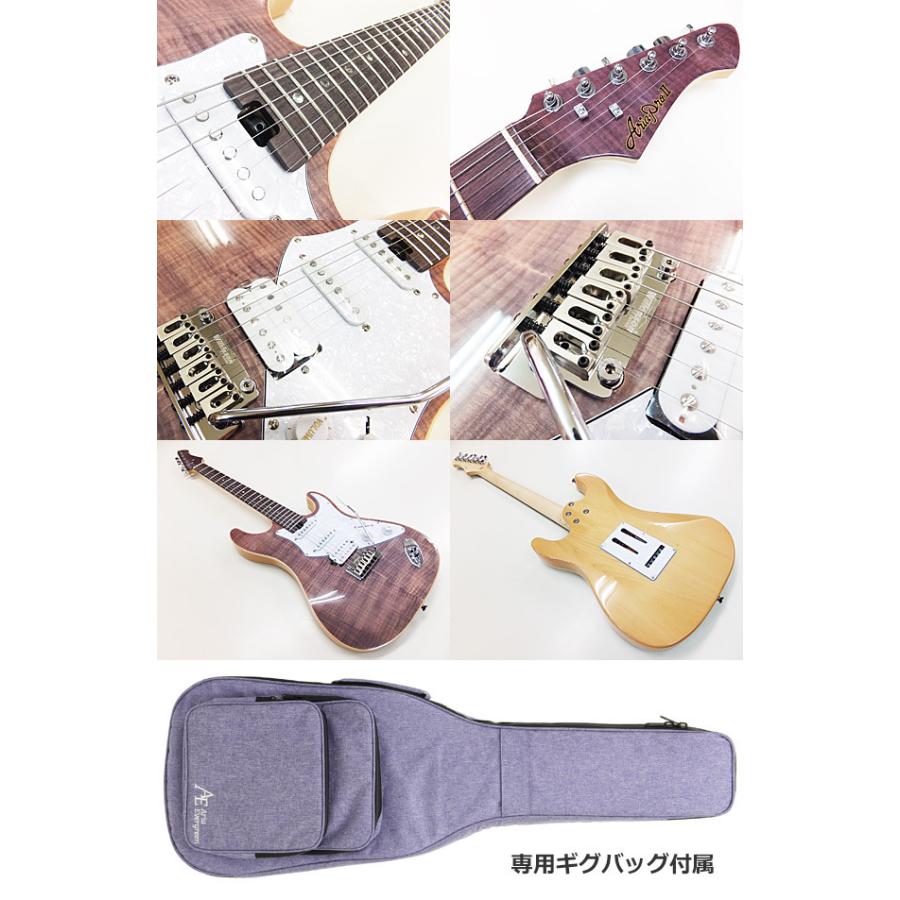 AriaProII 714-AE200 YG 専用ギグバッグ付 ほぼ新品 楽天市場】エレキギター 初心者セット 入門セット AriaProII 714