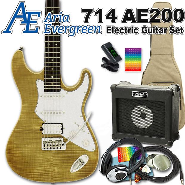 エレキギター グラデーショングリーン aria proll Aria Proll AriaProII 714 AE200 YG アリア・エヴァーグリーン エレキ
