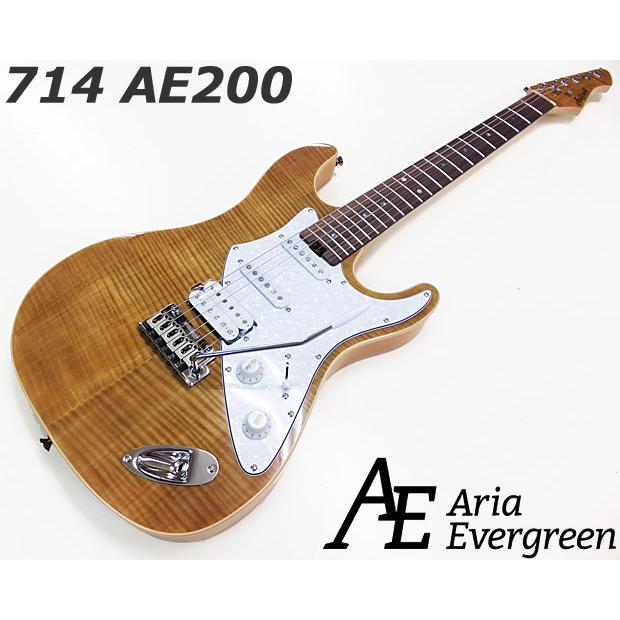Aria Proll AriaProII 714 AE200 YG アリア・エヴァーグリーン エレキ