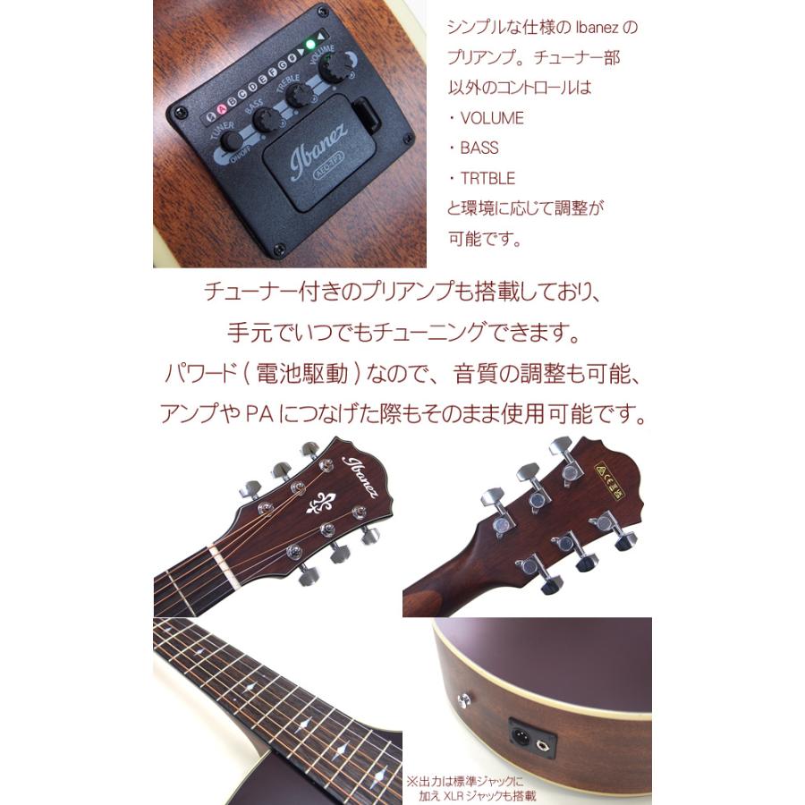 Ibanez AWG1000 アコースティックギター Ibanez AWG1000 アコースティックギター