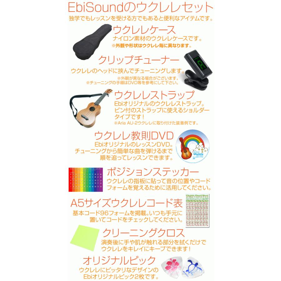ARIA（アリア） ウクレレ AU-2C コンサート 初心者 9点セット
