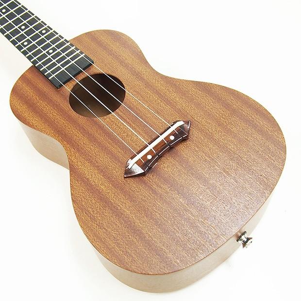 ウクレレ アリア AU-2C コンサート スペシャル12点セットマホガニー Aria (弦高調整済)(ソロ向き)(エンドピン付)(EbiSoundオリジナル)(u)_4