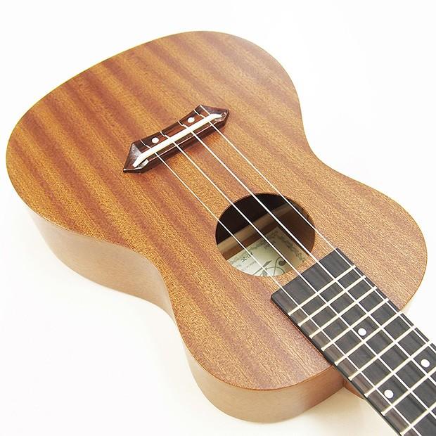 ウクレレ アリア AU-2C コンサート スペシャル12点セットマホガニー Aria (弦高調整済)(ソロ向き)(エンドピン付)(EbiSoundオリジナル)(u)_6