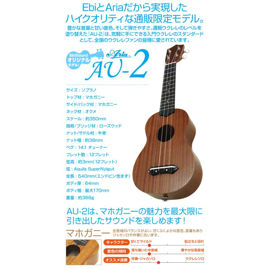 ARIA（アリア） ウクレレ AU-2 初心者セット 9点「弦高調整済