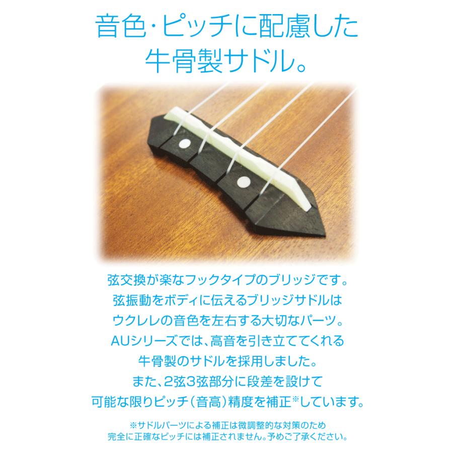 ARIA（アリア） ウクレレ AU-2 初心者セット 9点「弦高調整済 