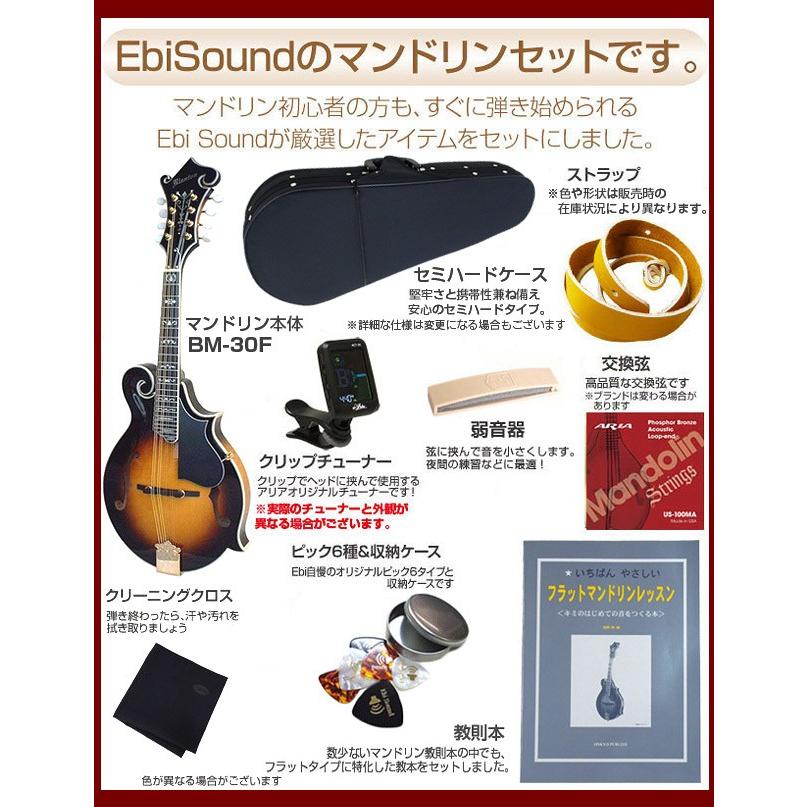 ◆Blanton　マンドリン◆ハードケース付属◆USED◆ スーパーライト マンドリンケース | イケガク