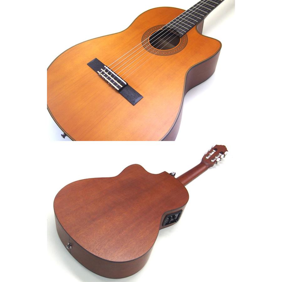 クラシックギター海外プレーヤー　70枚CD まとめ売り 楽天市場】【Dakota】ダコタ クラシックギター BC-70 _ ギター