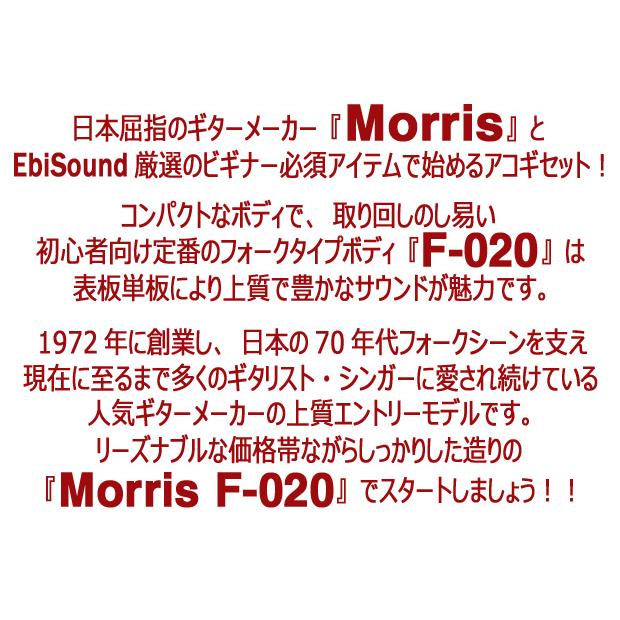 Morris モーリス アコースティックギター MORRIS F-020 アコギ トップ