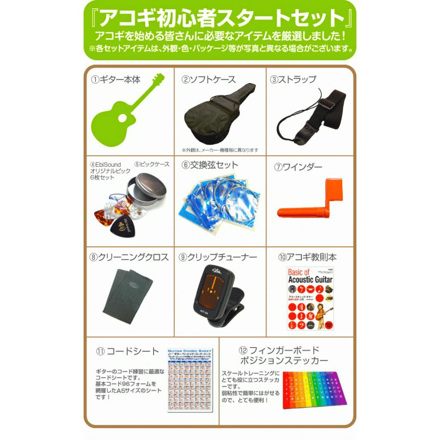 Morris モーリス アコースティックギター MORRIS F-020 アコギ トップ