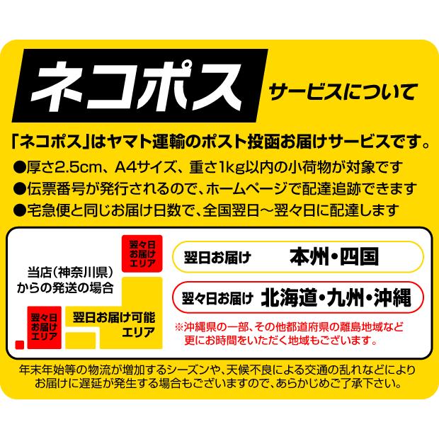 Fender フェンダー ピックおためし10枚セット 【ネコポス(旧速達メール便)送料無料】|ebisound|03
