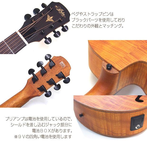 ARIA（アリア） エレアコ アコギ ARIA FET-F2 ハイグレード 初心者 17