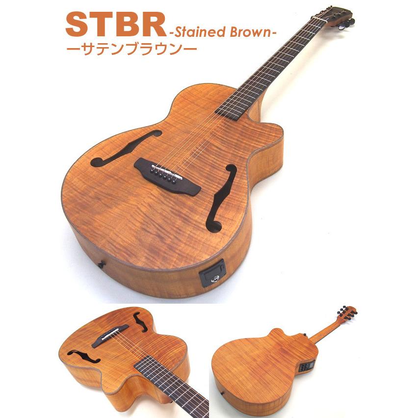 ARIA（アリア） エレアコ アコギ ARIA FET-F2 スタート 初心者 12点